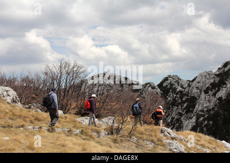 Trekking Velebit, sentiero Premuzic, Croazia Foto Stock