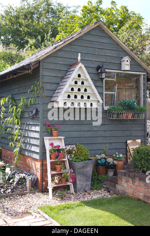 Verniciato grigio Tettoia da giardino con la colomba bianca cote sopra pentole sul dipinto di bianco di scaletta in country garden Foto Stock