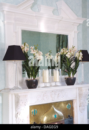 Close-up di ornati in bianco specchio sopra mantelpiece con nero lampade e vasi di orchidee nel tradizionale salotto Foto Stock