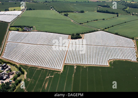 Vista aerea del POLYTUNNELS COMMERCIALE IN CAMPAGNA Foto Stock