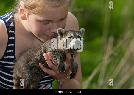 Procione comune (Procione lotor), ragazza giocando e smooching con un procione handraising, Germania Foto Stock