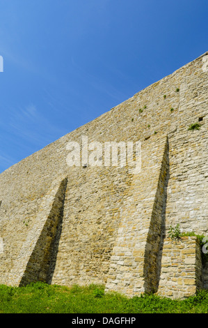 Istria, Croazia Motovun Foto Stock