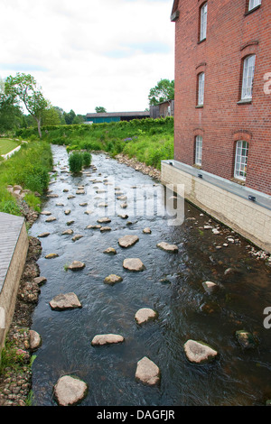 Rinaurata brook, Germania, Schleswig-Holstein, Steinau Foto Stock