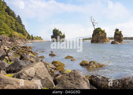 Maiale e seminare ingresso in spiaggia Garibaldi Tillamook Bay Oregon Foto Stock