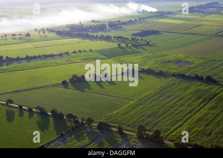 Zona agricola con i campi, praterie e siepi dall'aria in primavera, Belgio, Kempen Foto Stock