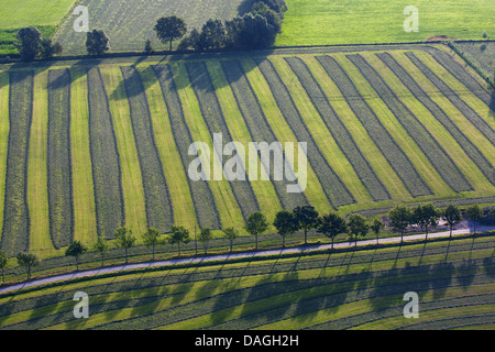 Zona agricola con campi a strisce, praterie e siepi dall'aria in primavera, Belgio, Kempen Foto Stock