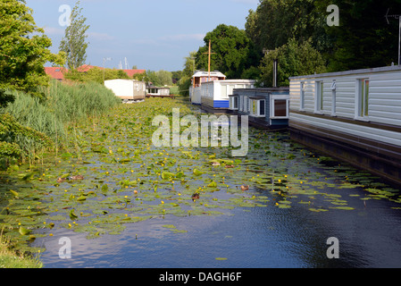 Case galleggianti sul Chichester canal vicino alla serratura del mare a Marina di Chichester, West Sussex, Regno Unito Foto Stock