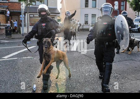 Belfast, Irlanda del Nord, 12 Luglio 2013 - Un attacco di polizia cane è portato in una situazione di tumulto Credit: stephen Barnes/Alamy Live News Foto Stock