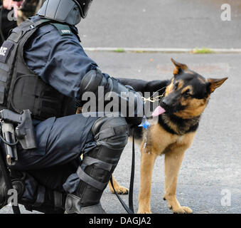 Belfast, Irlanda del Nord, 12 Luglio 2013 - un cane di polizia è dato acqua da una bottiglia di plastica durante un periodo di calma in una sommossa Credit: stephen Barnes/Alamy Live News Foto Stock