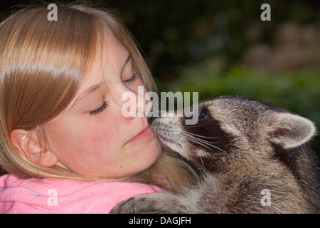 Procione comune (Procione lotor), dolce giovane animale la riproduzione e smooching con una ragazza, Germania Foto Stock