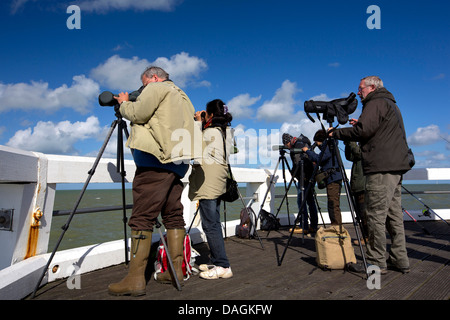 Gli amanti del birdwatching, Belgio Foto Stock