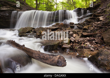 Abbassare Tews cascata, Hamilton, Ontario, Canada. Foto Stock