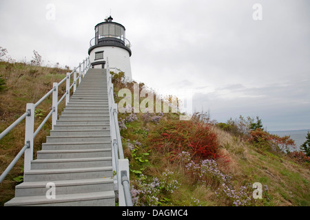 , USA, Maine, civette dallo stato di testina Park, Rockport Foto Stock