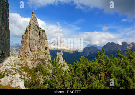 I pinnacoli a Monte Popena, Katzenleitenkopf, Tre Cime di Lavaredo e Zwoelferkofel in background, Italia, Alto Adige, Dolomiti Foto Stock