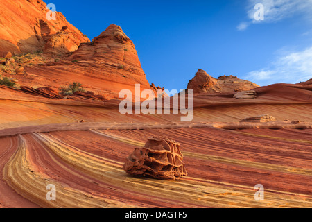 Le formazioni rocciose del nord Coyote Buttes, parte delle scogliere di Vermilion monumento nazionale. Noto anche come il cimitero Foto Stock