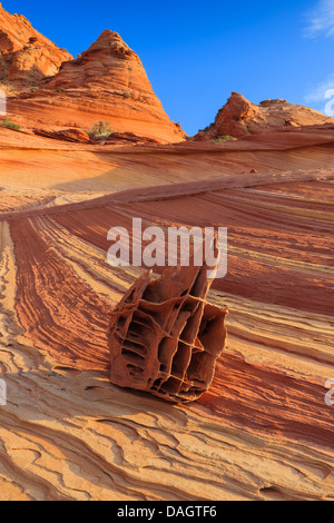 Le formazioni rocciose del nord Coyote Buttes, parte delle scogliere di Vermilion monumento nazionale. Noto anche come il cimitero Foto Stock