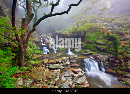 Le cascate di Dimosari canyon, Sud isola di Eubea, Grecia centrale. Foto Stock