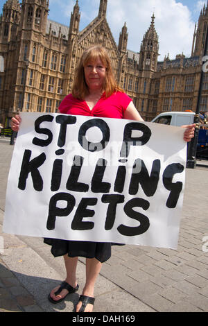 Londra, Regno Unito. 13 luglio 2013. Un anti-attivista BSL con il suo messaggio diretto durante la protesta a Londra contro la razza una legislazione specifica per i cosiddetti cani pericolosi. Credito: Paolo Davey/Alamy Live News Foto Stock