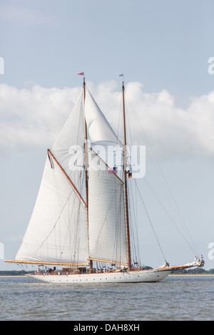 Il 196-piedi vela yacht Germania vele Nova porto di Charleston Giugno 26, 2013 a Charleston, Carolina del Sud. Foto Stock