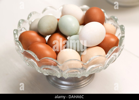 Una ciotola di vetro di diverse varietà di uova di gallina - profondità di campo Foto Stock