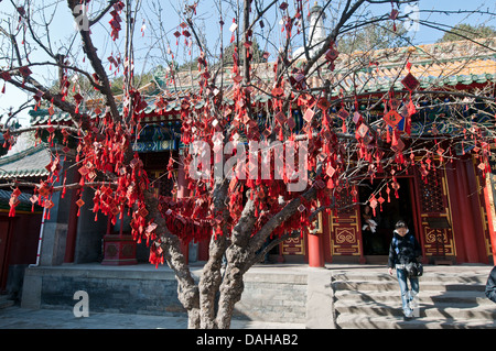 Piccolo fascino con il nuovo anno auguri di Yong'un tempio (Tempio di pace eterna) nel Parco Beihai, Pechino Foto Stock