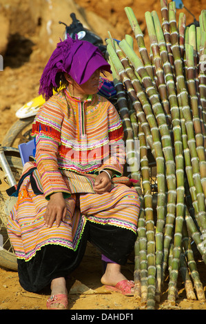 Fiore donna Hmong vendita di canna da zucchero a può cau mercato, vicino a Bac Ha, Lao Cai Provincia, Vietnam Foto Stock