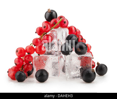 Bacche di ribes e ribes con cubetti di ghiaccio su sfondo bianco Foto Stock