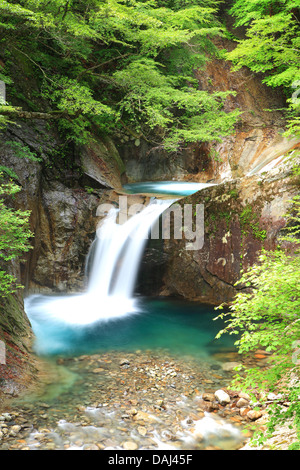 Fresco verde e cascata, Nishizawa Valley, Yamanashi, Giappone Foto Stock