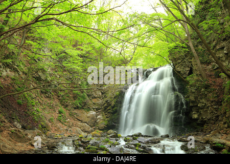 Cascata di fresco verde, Nome è Asamaootaki, Gunma, Giappone Foto Stock