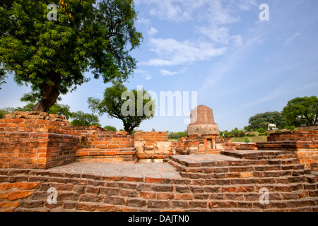 Rovine con stupa in background, Stupa Dhamek, Sarnath, Varanasi, Uttar Pradesh, India Foto Stock