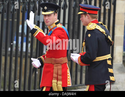 British Prince William (L) arriva con il suo fratello il principe Harry come miglior uomo a Westminster Abbey per la sua cerimonia di nozze con Kate Middleton in London, Gran Bretagna, 29 aprile 2011. Alcuni 1.900 ospiti sono stati invitati al matrimonio reale cerimonia. Foto: Boris Roessler dpa Foto Stock