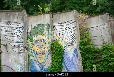 Graffiti, resti di mura con edera, Memoriale del Muro di Berlino, Bernauer Strasse Foto Stock