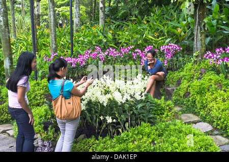 Dh National Orchid Garden Botanic Gardens SINGAPORE donne asiatiche in orchidee botaniche persone Foto Stock