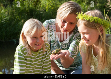 Unione rana verde, comune rana verde (Rana kl. esculenta, Rana esculenta, Pelophylax esculentus), madre mostra una rana per i suoi figli, Germania Foto Stock