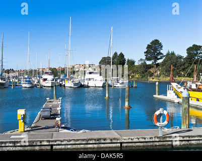 Dh Gulf Harbour Marina WHANGAPARAOA NUOVA ZELANDA barche ormeggiate marina jetty Whangaparaoa Peninsula Foto Stock