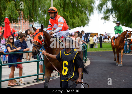 Un po' di dan cavallo purosangue nell'anello a piedi al Queens piastra Woodbine Racetrack Toronto in Canada Foto Stock