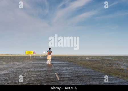 Turista giapponese a piedi in acqua di mare che copre la marea Causeway conduce a Isola Santa Lindisfarne, Inghilterra Foto Stock