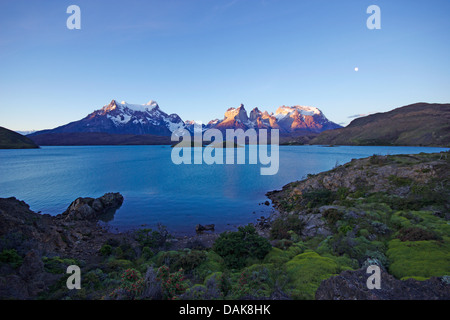 Lago Pehoe nella luce della sera, Paine Grande e Cuernos del Paine in background, Cile, Patagonia, parco nazionale Torres del Paine Foto Stock