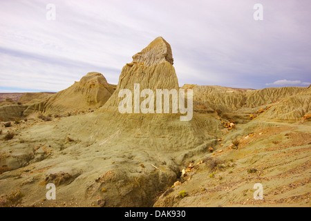 Legno pietrificato di Samiento con silicified tronchi delle palme un conifere del cretaceo età, Argentina, Patagonia, Monumento Naturale Bosque Petrificado Sarmiento Foto Stock