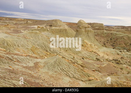 Legno pietrificato di Samiento con silicified tronchi delle palme un conifere del cretaceo età, Argentina, Patagonia, Monumento Naturale Bosque Petrificado Sarmiento Foto Stock