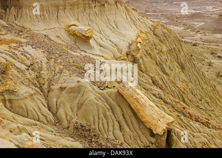 Legno pietrificato di Samiento con silicified tronchi delle palme un conifere del cretaceo età, Argentina, Patagonia, Monumento Naturale Bosque Petrificado Sarmiento Foto Stock