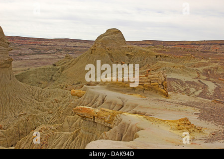 Legno pietrificato di Samiento con silicified tronchi delle palme un conifere del cretaceo età, Argentina, Patagonia, Monumento Naturale Bosque Petrificado Sarmiento Foto Stock