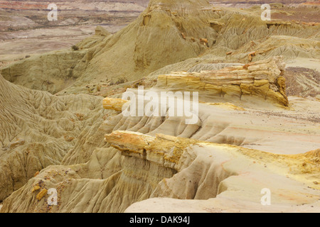 Legno pietrificato di Samiento con silicified tronchi delle palme un conifere del cretaceo età, Argentina, Patagonia, Monumento Naturale Bosque Petrificado Sarmiento Foto Stock