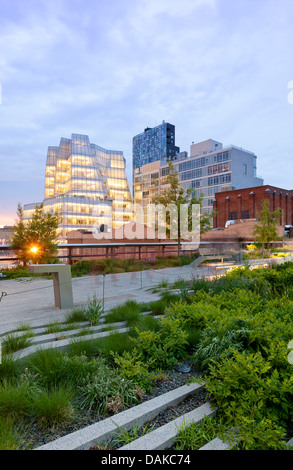 High Line New York City Manhattan High Line Park Frank Gehry architettura Foto Stock