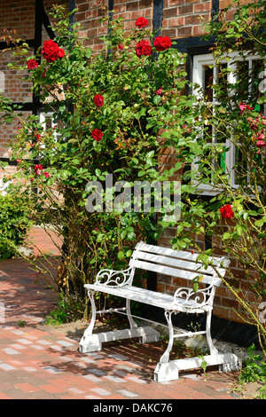 Banco di fronte a una casa con rambling rose, Germania Foto Stock