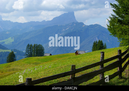 Prato di montagna e la recinzione di legno, Sass de Putia in background, l'Italia, l'Alto Adige Dolomiten , Wengen Foto Stock
