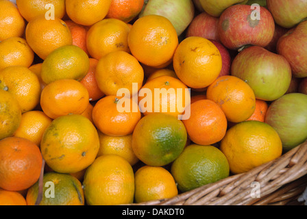 Mandarino, mandarino (Citrus reticulata), cesto di mandarini Foto Stock