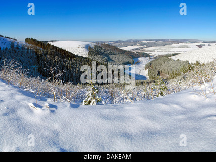 Coperte di neve e di foresta paesaggio del campo vicino a Winterberg, in Germania, in Renania settentrionale-Vestfalia, Sauerland Foto Stock