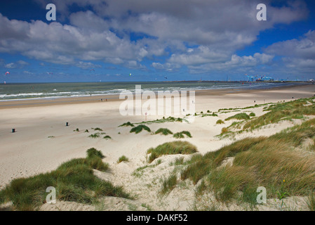 Kitesurfisti presso la spiaggia di Blankenberge con il porto di Zeebrugge in background, Belgio, Fiandre Occidentali, Zeebrugge Foto Stock