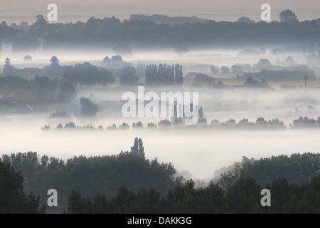 Paesaggio di bocage nella nebbia mattutina, Belgio, Ardenne Foto Stock